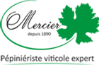 Plants de vignes Mercier : Production de plants de vigne et création de vignoble en France et à l'étranger (Accueil)
